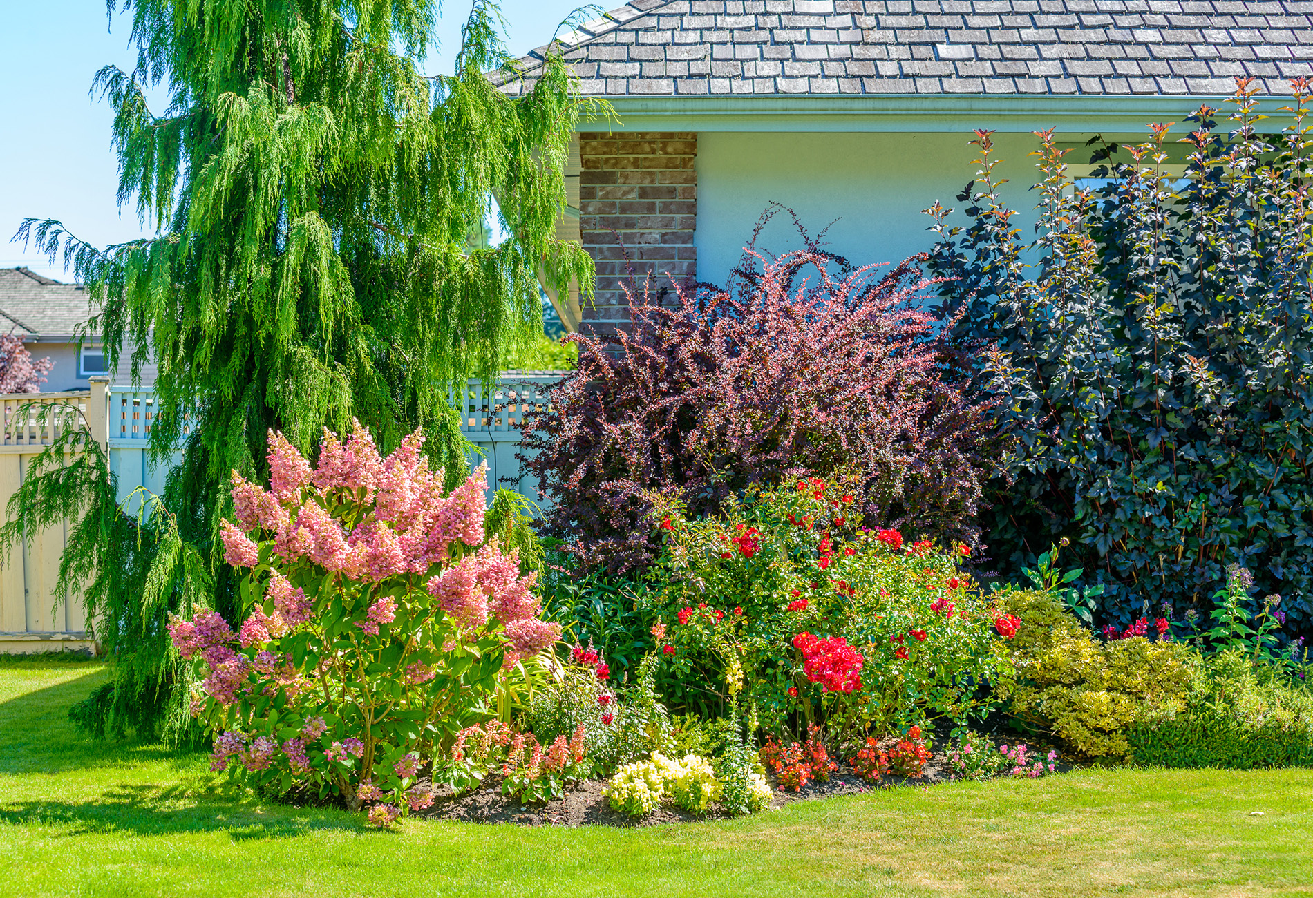 Beautiful landscaped garden